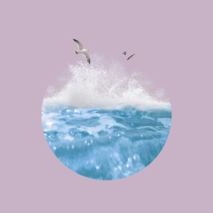 日本性感少妇性爱
