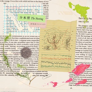 日本性感少妇性爱
