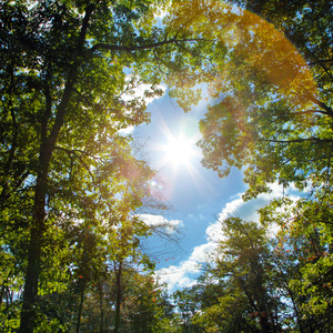 日本性感少妇性爱

